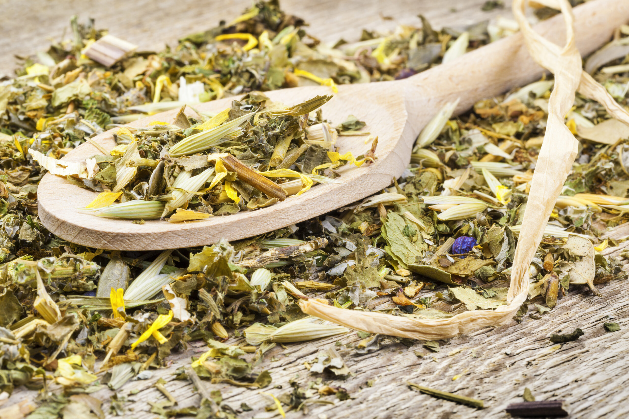 Fresh Leaf Tea Brewing System 